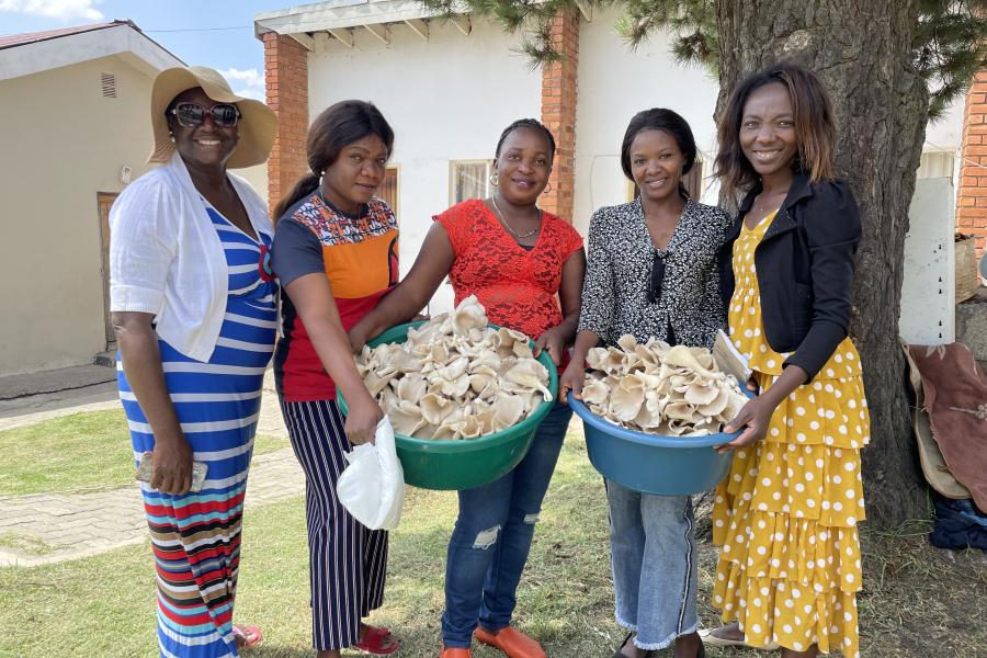 A group of women with baskets of mushrooms
