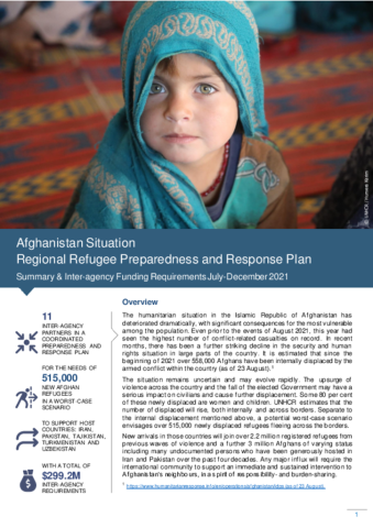 Afghanistan situation: Regional Refugee Preparedness and Response Plan ...