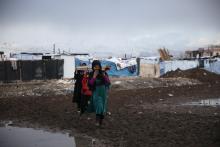 Three Syrian refugees transporting wood on their shoulders.