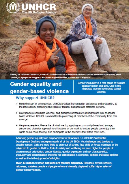 Brief on Gender equality and gender based violence
