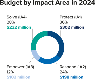 Americas - Budget by impact area 2024