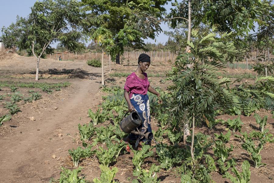 A woman waters plants with trees around her.