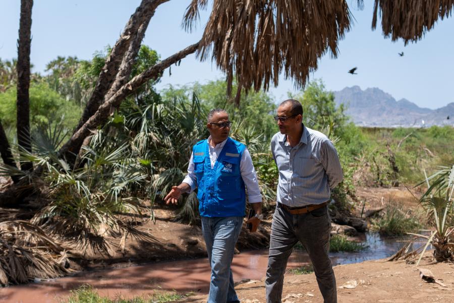 UNHCR staff walking