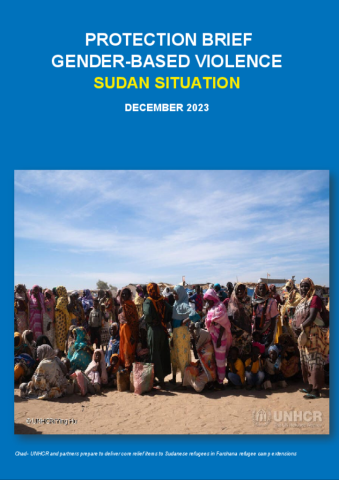 Sudan Situation: Gender-based Violence Brief | Global Focus