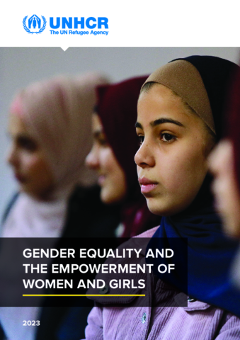 Gender Equality and the Empowerment of Women and Girls | Global Focus