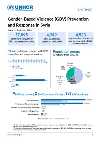 Syrian Arab Republic: Factsheet on Gender-Based Violence (GBV ...