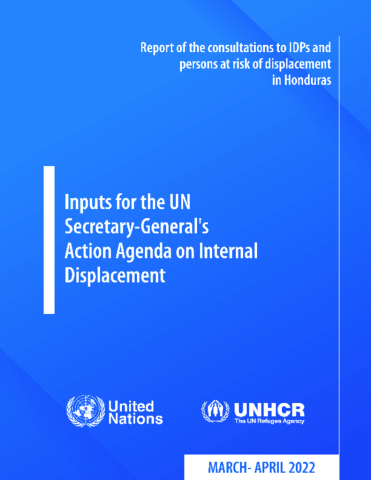 Honduras: Inputs for the UN Secretary General's action agenda on ...