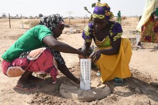 As the region of Minawao faces critical deforestation due to the global warming and the human activity of 56,000 Nigerian refugees, the UNHCR and its partners Land Life Company and LWF started a reforestation project.