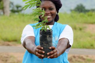 A UNHCR staff holding a plant.