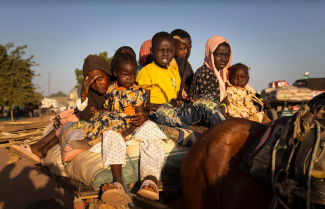 people being transported on a donkey