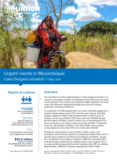 Urgent needs in Mozambique | Cabo Delgado situation