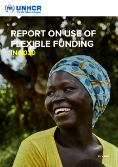 Report on Use of Flexible Funding in 2020