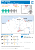 UNHCR Egypt statistical report