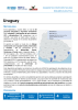 UNHCR Uruguay Participatory Assessment Executive Summary [Spanish]