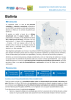 UNHCR Bolivia Participatory Assessment Executive Summary [Spanish]