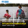 UNHCR Protection Monitoring Report for Venezuela Situation - ES