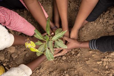 Young climate and environment activists plant a mango tree in Tongogara refugee camp. They belong to the Refugee Coalition for Climate Action  (RCCA) in Tongogara. The RCCA members conduct three main activities in the camp: clean-up campaigns, tree planting and awareness raising on climate change among the refugee populations. “Tree planting is a key factor of climate action as it is the part where the earth heals” says Elie Nsala Tshikuma, a 23-year-old Congolese who arrived in Tongogara in 2010.